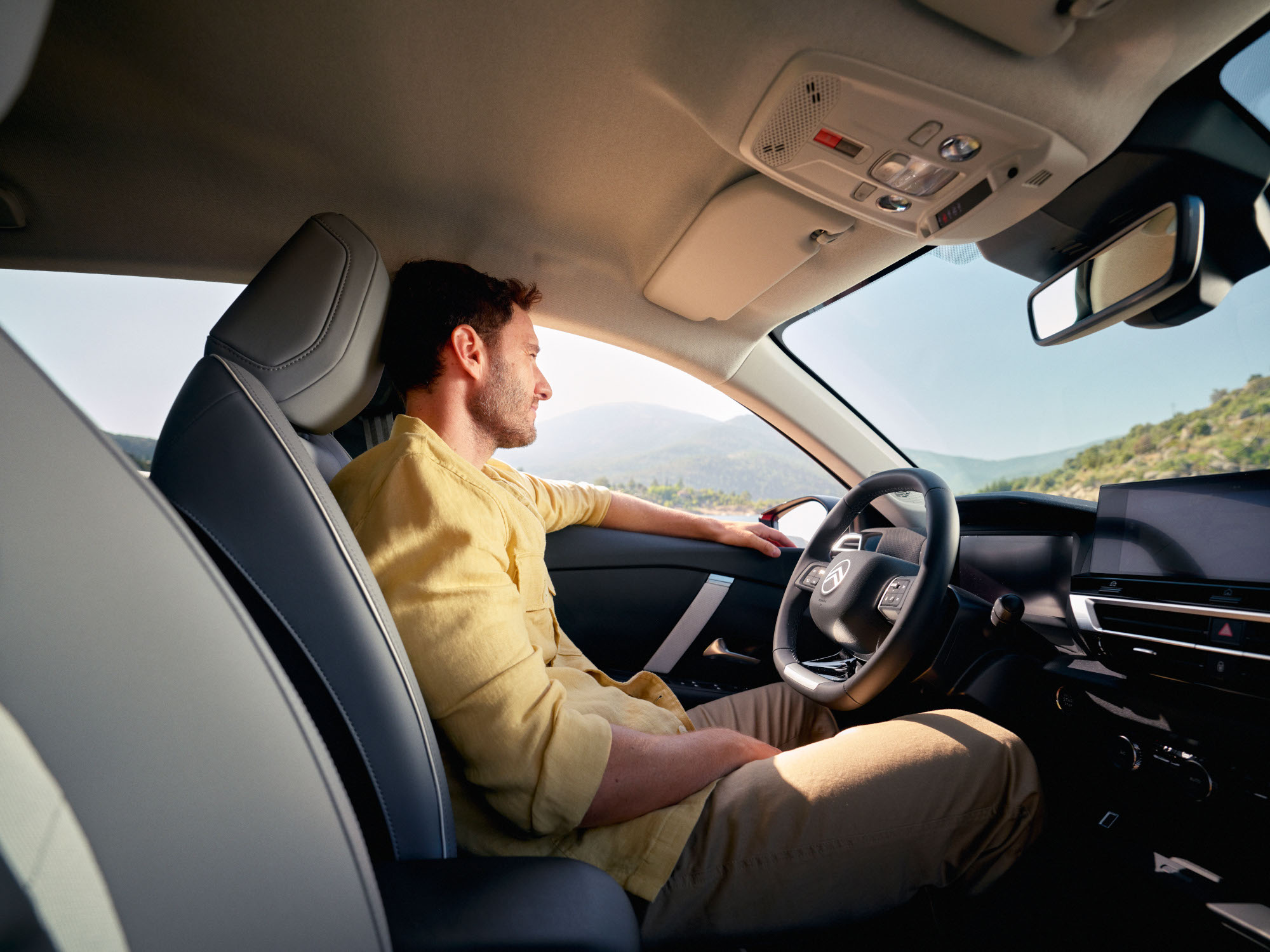 citroën c4 side dashboard